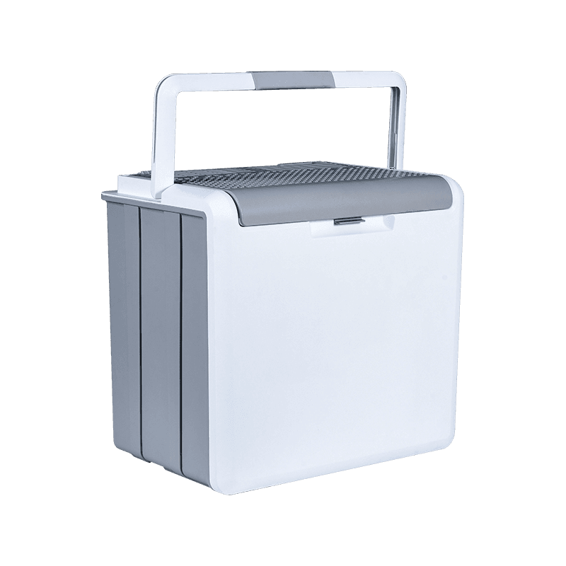 XW-25 Dual Voltage Car et Domus Dual-Propositum Thermoelectric Cooler