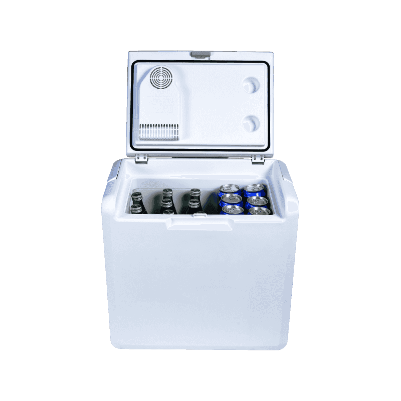 XW-25 Dual Voltage Car et Domus Dual-Propositum Thermoelectric Cooler