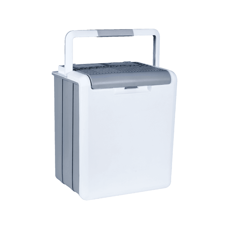 XW-25 Dual Voltage Car et Domus Dual-Propositum Thermoelectric Cooler