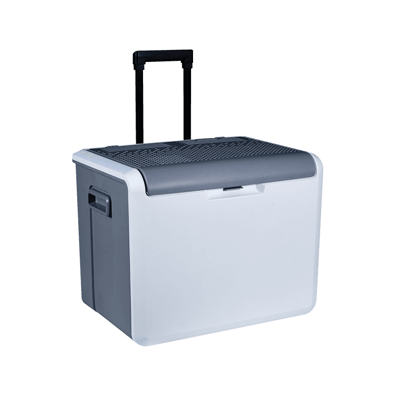 XW-25 Dual Voltage Car et Domus Dual-Propositum Thermoelectric Cooler